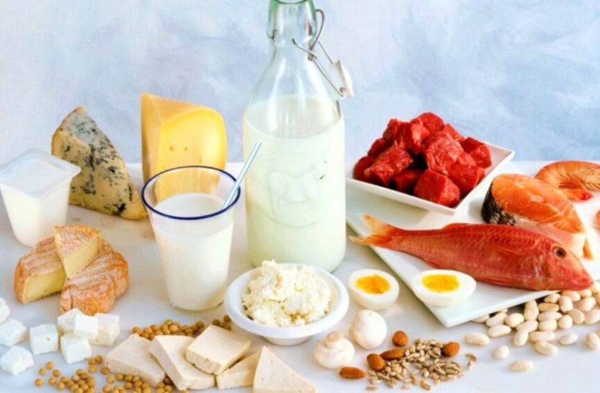 پروٹین غذا